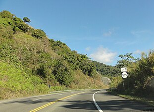 Road sign on northbound PR-10 announcing intersection with PR-515 in Barrio Guaraguao, Ponce, Puerto Rico