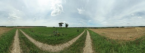 Panoramique à 360° entre Clézentaine et Deinvillers.