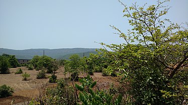 Radhanagri sanctuary from the main road