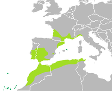 Distribución de la ranita meridional