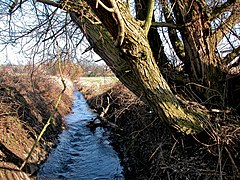 Die Rossenbeck vor der Mündung