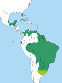 Área de distribución. En verde oscuro nativo y verde claro introducido.