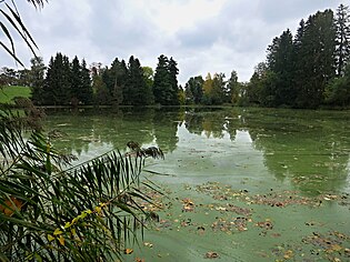 Stolzenbergweiher