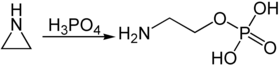 Synthese von Phosphoethanolamin