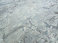 Weathered Precambrian pillow lava in the Temagami Greenstone Belt