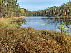 Näkymä järvelle lokakuussa 2021