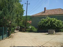 Street of Donje Vlase