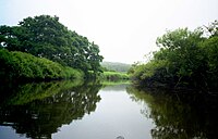 釧路濕地中的釧路川