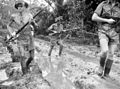 Image 12Australian troops at Milne Bay (from Military history of Australia during World War II)
