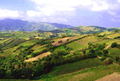 Pemandangan alam di Batanes Hills yang indah