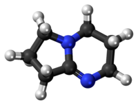 DBN molecule{{{画像alt1}}}