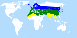 azul, verán; verde, todo o ano; amarelo, posible distribución de inverno.