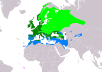 Distribución da especie      Todo o ano     Só en verán     Só en inverno