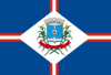 Flag of Patos de Minas