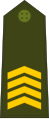 Primeiro-sargento (Army of Guinea-Bissau)