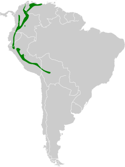 Distribución geográfica del brillante frentivioleta