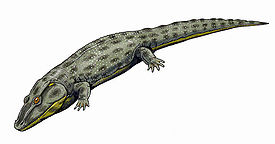 Intasuchus silvicola