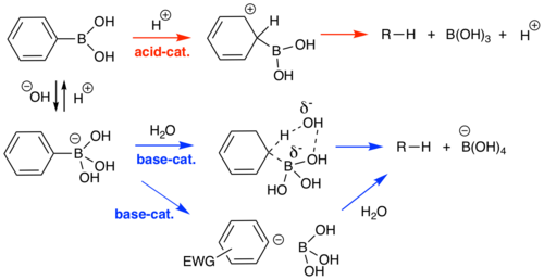 Acid and base catalyzed protodeboronation