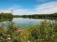 Lac des miroirs et marais de Condette.