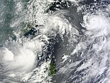 Picture of Lionrock, Kompasu, and Namtheun on August 31.