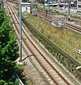 交通博物館屋上より望む万世橋駅ホーム跡。留置線は現在でも残されている。（2006年）