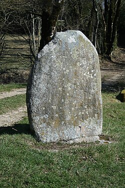 Image illustrative de l’article Statues-menhirs du Plos