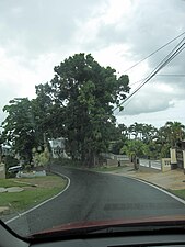 PR-617 in Morovis Sud (Sur), northbound