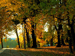 Parcul Regele Mihai