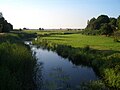 Binnensalzwiese bei Sülten Nature Reserve