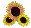 gezeichnete Sonnenblumen