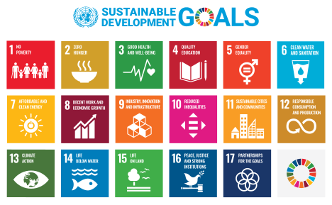 Infographic for the 17 Sustainable Development Goals