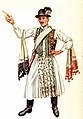 Image 25A vőfély in traditional costume, c. 1885 (from Culture of Hungary)