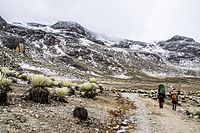 Valle de Mifafí, Mérida State