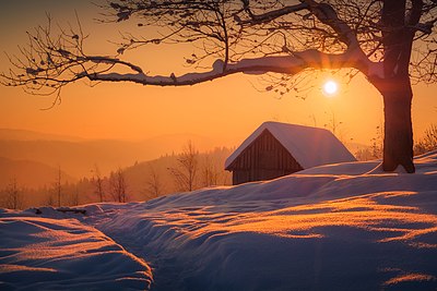 'n Winteroggend in die Karpate- Nasionale Park, Iwano-Frankifsk-oblast, Oekraïne.