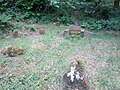 La fontaine de Saint-Cado et le cercle de pierres (un cromlech ?) l'entourant 1.