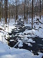 Below Wepawaug Falls in Woodbridge, CT, USA.