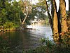 A large body of water between two tree-lined shores, with a bridge in the background.