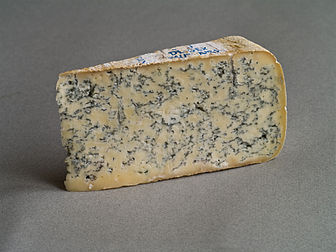 Bleu de Gex é um queijo azul francês elaborado com leite de vaca e produzido nas montanhas do Jura (definição 2 362 × 1 772)