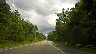 Heading south in Río Arriba Saliente, Manatí