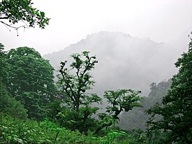 ギーラーン州の落葉広葉樹林