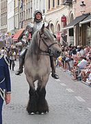 Trait belge monté dans le cortège de l'Arbre d'Or, à Bruges