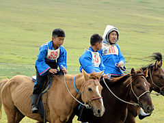 Trois cavaliers sur des chevaux au pas