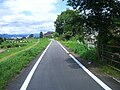 京都八幡木津自転車道（桂川区間）