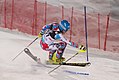 Einfädler im Slalom