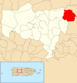 Location of Mameyes Abajo within the municipality of Utuado shown in red