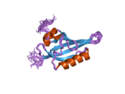 1x0o: human ARNT C-terminal PAS domain