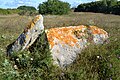 Dolmen de Kerboulen.