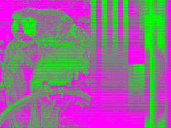 High Resolution 512x192 (Magenta & Green palette)