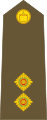 Lieutenant (Tongan Land Component)[79]