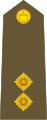 Lieutenant (Tongan Land Component)[79]